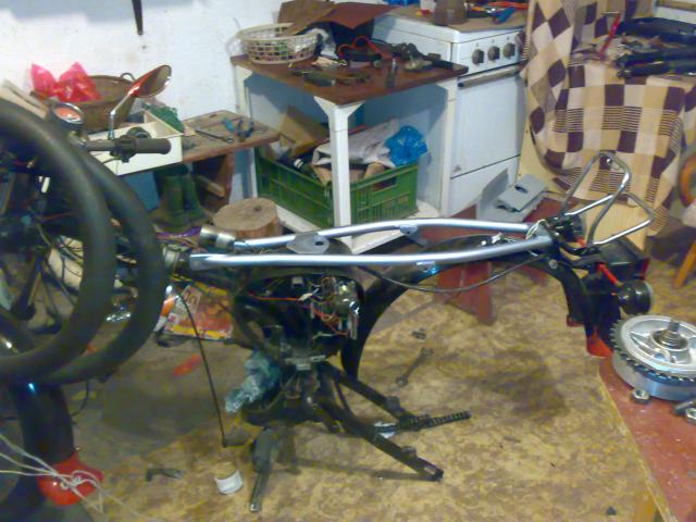 Foto511.jpg